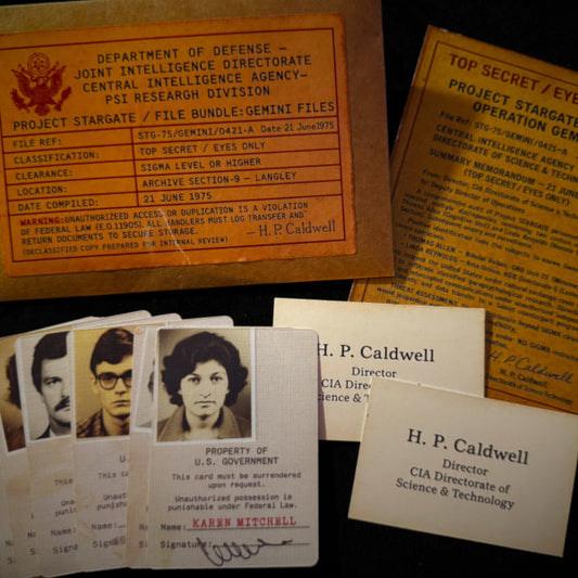 The Gemini Files by Dead Rebel