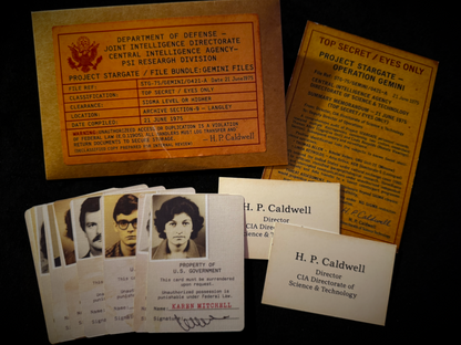 The Gemini Files by Dead Rebel